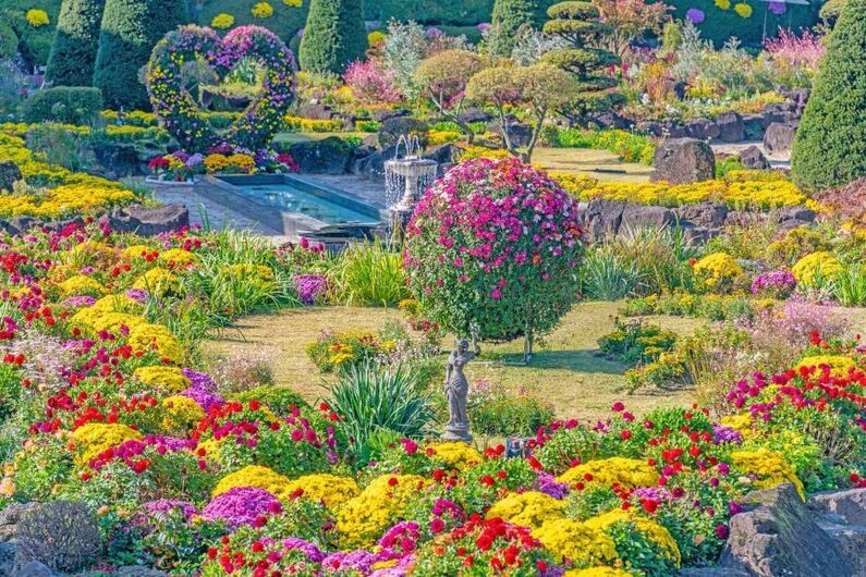Garden of Morning Calm Autumn Chrysanthemum Festival 2024: Explore Themed Gardens & Vibrant Fall Colors