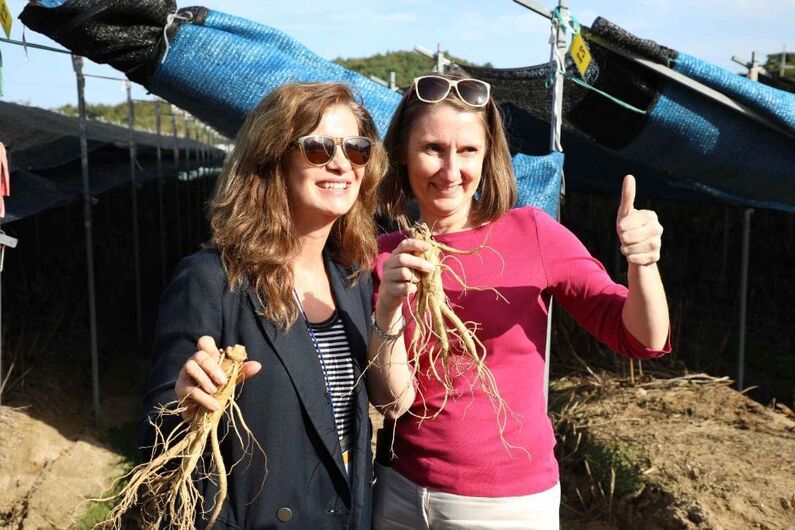 2024 Geumsan World Ginseng Festival (Oct 3-13): Experience Korean Ginseng Culture & Tradition