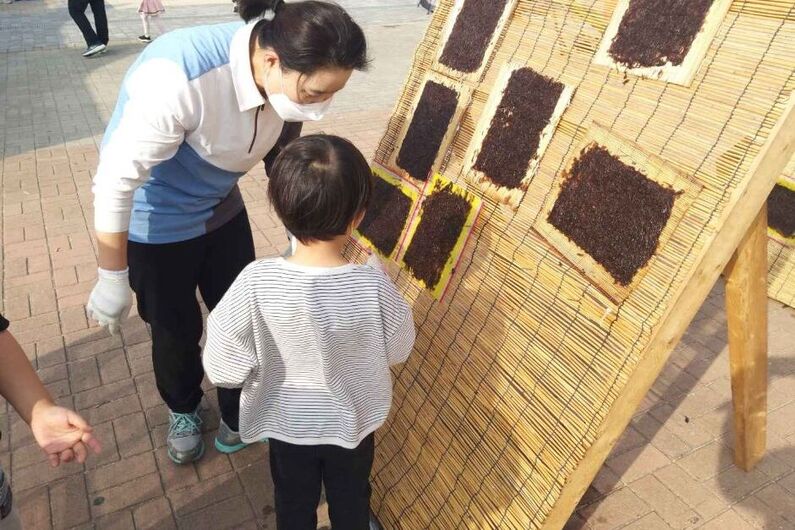 Boryeong Laver Seaweed Festival 2024: Experience Korean Culture & Culinary Delights