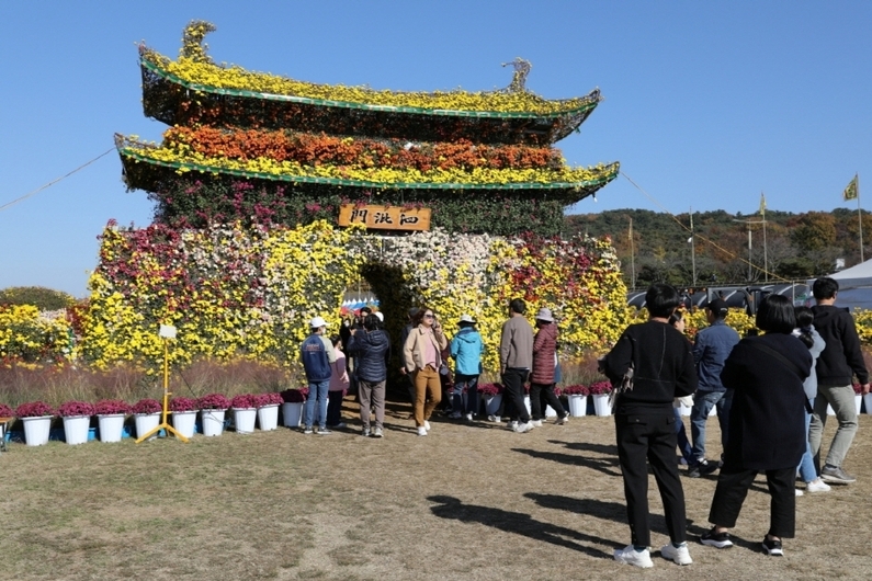 Buyeo Baekje Kingdom Chrysanthemum Festival 2024: Immerse Yourself in Millions of Blooms