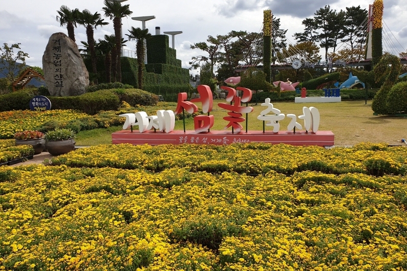Geoje Island Flower Festival 2024: Explore Stunning Autumn Blooms (October 26th - November 3rd)