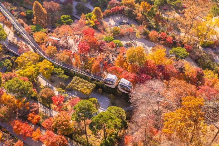 Hwadam Forest Autumn Foliage Festival 2024: Experience Korea's Vibrant Fall Colors (Oct 18 - Nov 17)