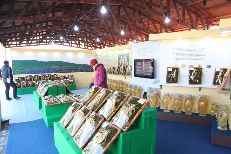 Icheon Ginseng Festival 2024: Experience the Power of Korean Ginseng (Free Entry!)