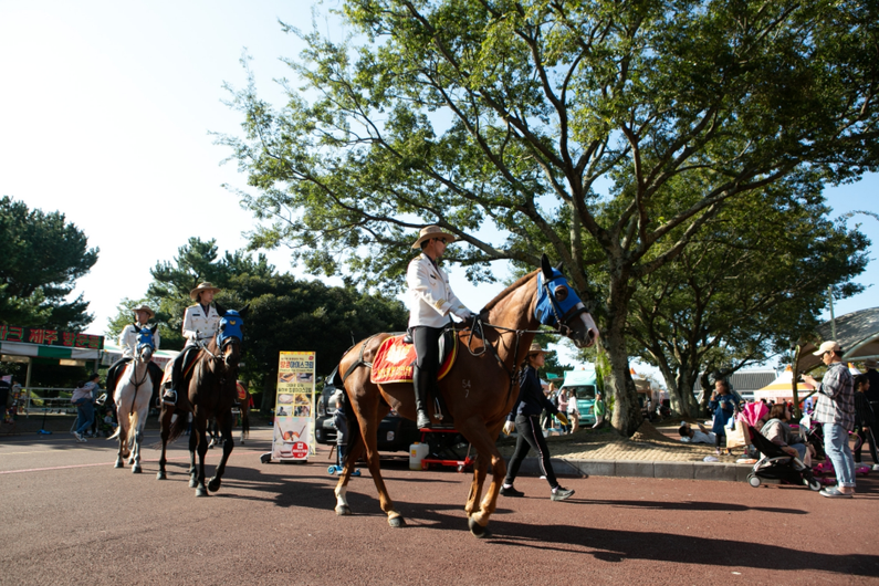Jeju Horse Festival 2024: Experience Thrilling Races, Concerts, and More (October 26th-27th)