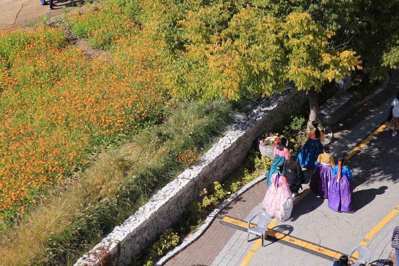 Jongno Hanbok Festival 2024 (October 11-12): Experience Traditional Korean Culture in Seoul