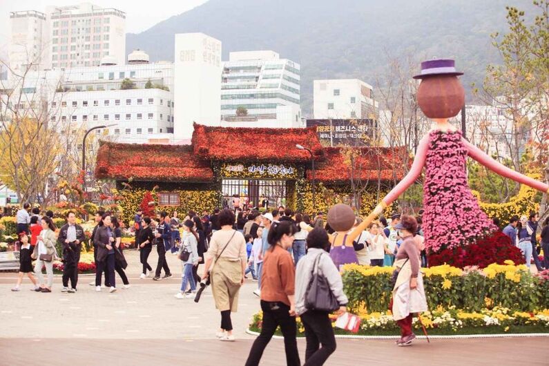 Masan Gagopa Chrysanthemum Festival 2024: Experience Korea's Largest Autumn Flower Festival (October 26th - November 3rd)