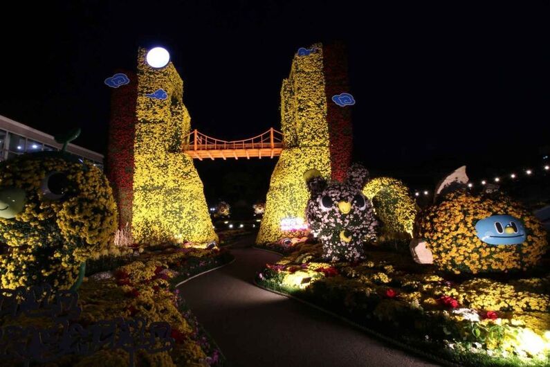 Wolchulsan Mountain Chrysanthemum Festival 2024: Immerse Yourself in the Scent of 100 Million Blooms