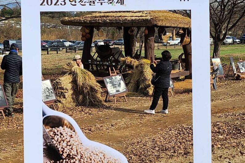 Yeoncheon Yulmu (Job's Tears) Festival 2024: Free Entry, Local Food, & Agricultural Delights