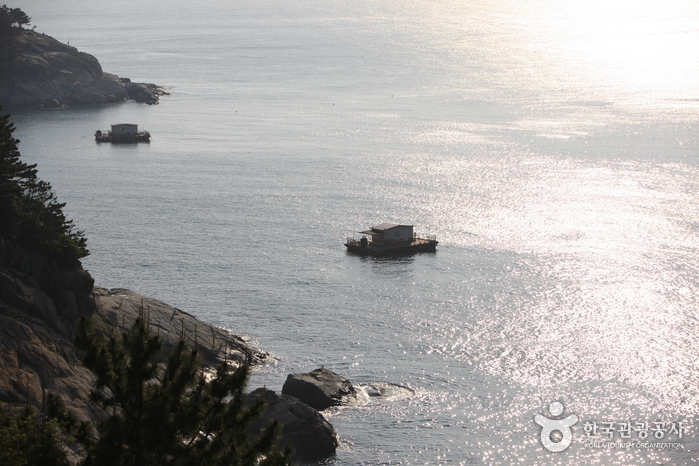 Jangseungpo New Year's Sunrise Festival 2025: Celebrate the First Sunrise in Geoje