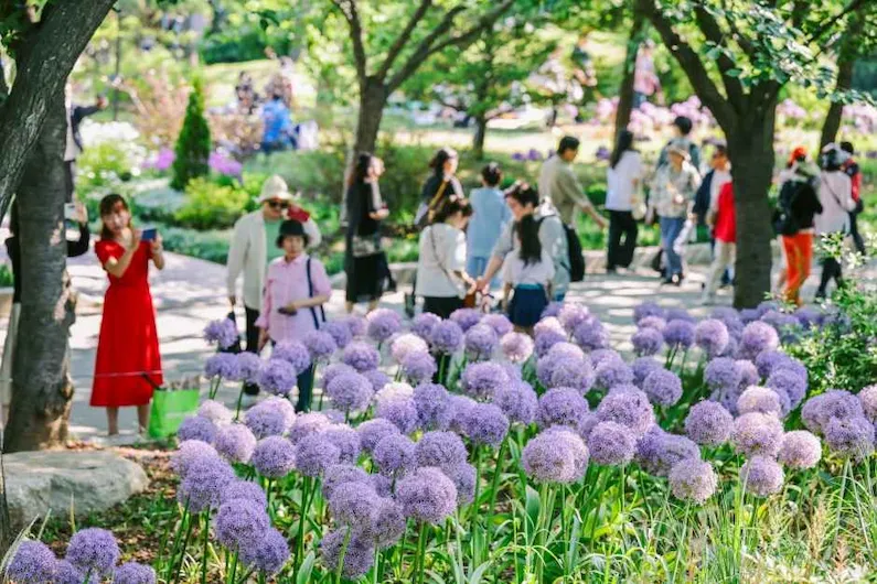 Visit the 2026 Seoul International Garden Show at Seoul Forest: Explore 150+ Global Gardens and Green Culture Programs