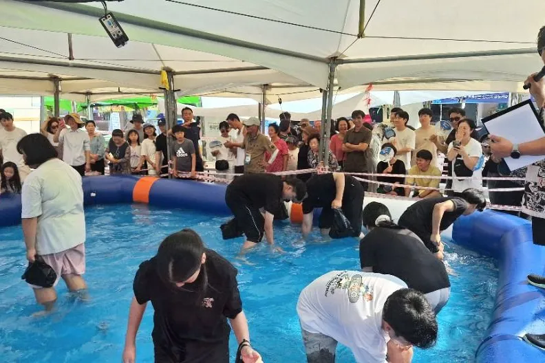 2026 Sacheon-si Samcheonpo Port Wild Gizzard Shad Festival: Enjoy Fresh Seafood and Exciting Hands-On Activities