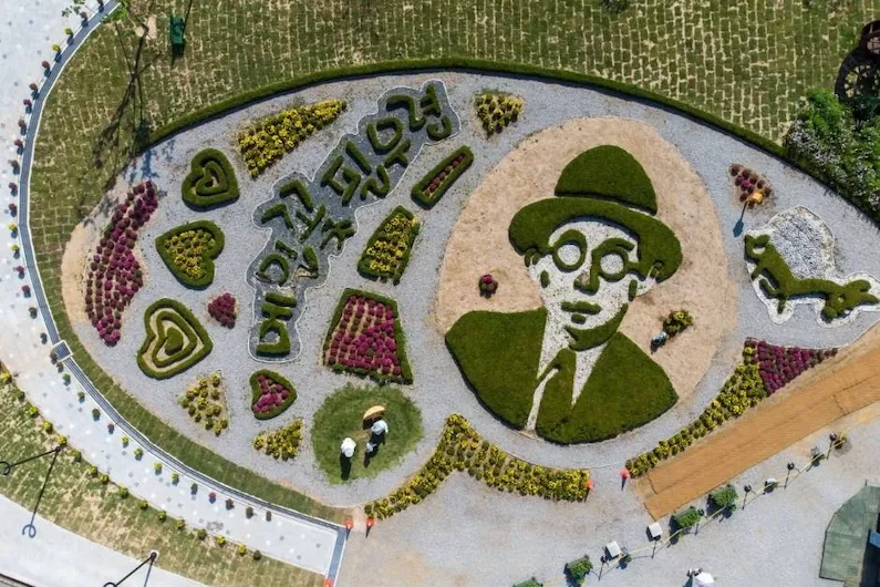 Pyeongchang Hyoseok Cultural Festival 2026: Complete Guide to Korea's Premier Literary Festival with Free Buckwheat Flower Experiences