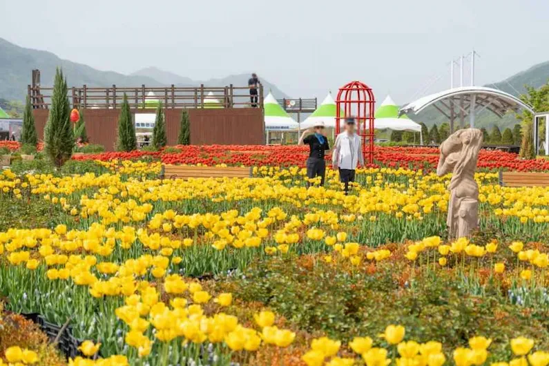 2026 Pocheon Hantan River Garden Festa: Complete Guide to Dates, Programs, Tickets, and Family Attractions