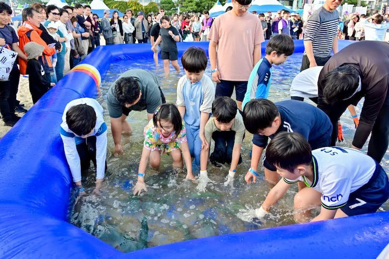 2026 Busan Mackerel Festival at Songdo Beach: Enjoy Hands-on Fishing, Live Music, and Local Seafood Delicacies