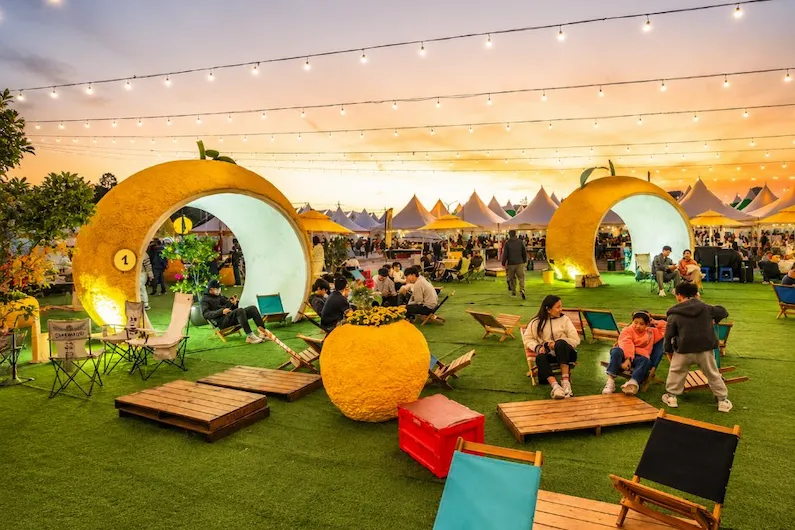 2026 Goheung Yuja Festival Guide: Experience Healing Spas, Fresh Harvesting, and Autumn Romance in South Korea