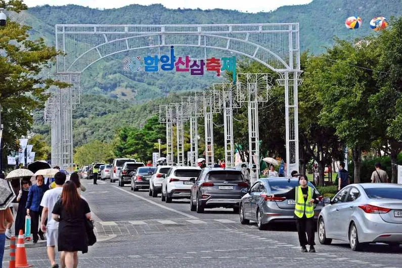 2026 Hamyang Wild Ginseng Festival: Experience Luxury Wellness and Traditional Culture at Sangrim Park