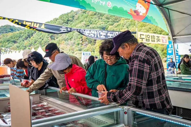 2026 Hoengseong Hanwoo Beef Festival Guide: Experience Korea's Finest Beef and Spectacular Fireworks