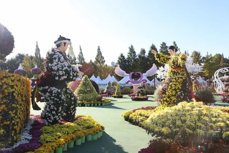 2026 Iksan Ten Million Chrysanthemum Festival Guide: Experience Korea's Largest Autumn Flower Display and Night Gardens