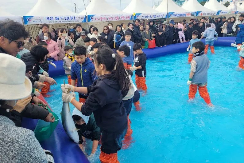 2026 Jeju Southernmost Yellowtail Festival: Enjoy Fresh Sashimi and Exciting Marine Activities in Seogwipo