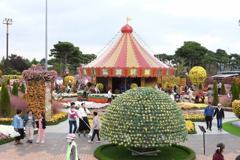 2026 Korea National Chrysanthemum Festival in Hampyeong: Your Complete Guide to Events, Tickets, and Autumn Magic