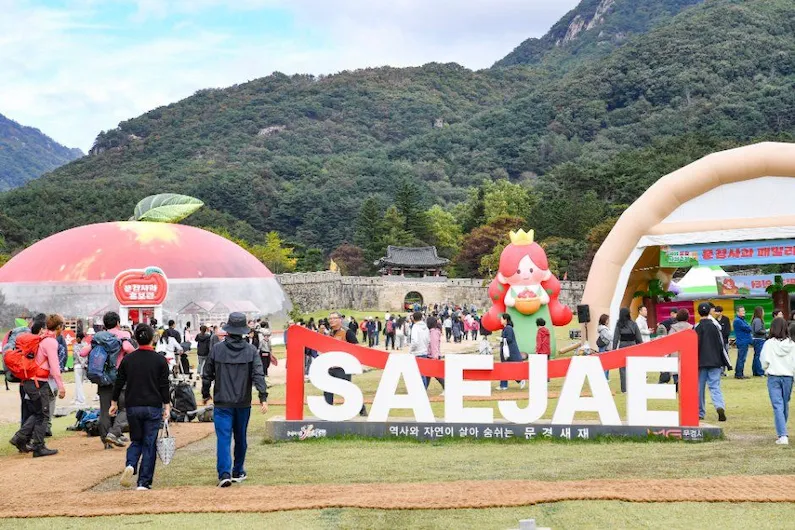 2026 Mungyeong Apple Festival: Taste the Famous Gamhong Honey Apples and Enjoy Hands-On Orchard Experiences