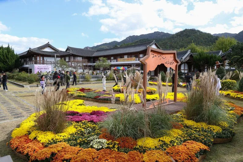 2026 Wolchulsan Chrysanthemum Festival in Yeongam: Experience Stunning Autumn Blooms and Scenic Photo Zones