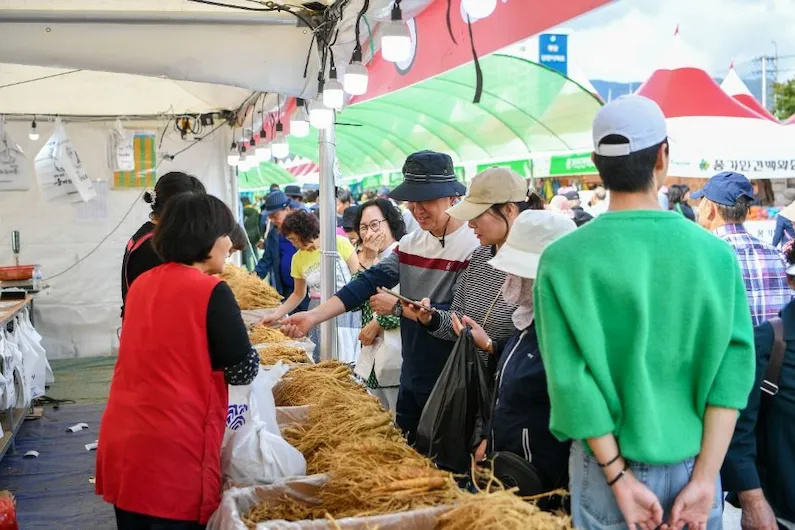 2026 Yeongju Punggi Ginseng Festival: Experience Korean Heritage and Boost Your Health with Premium Ginseng